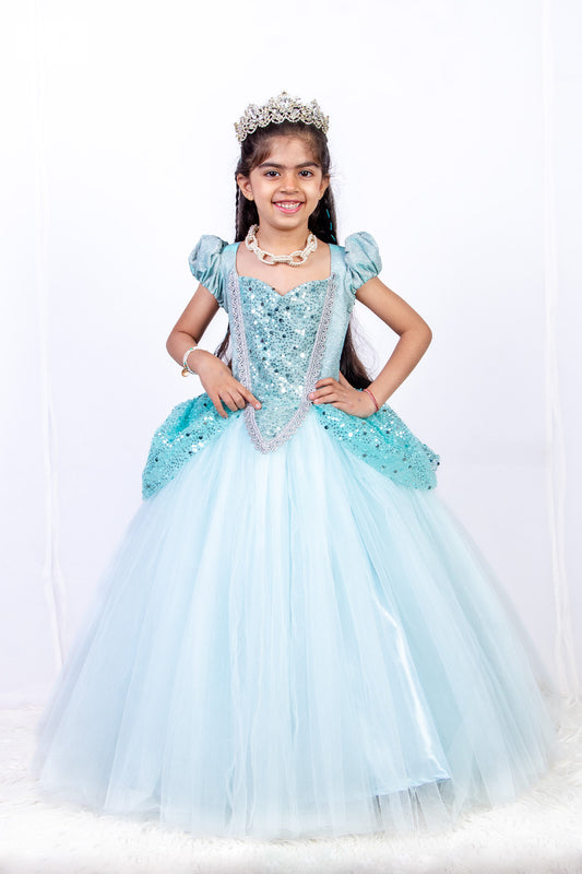 Princess Cinderella Gown
