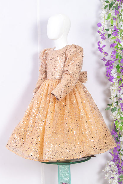 Golden Embroidered Gown