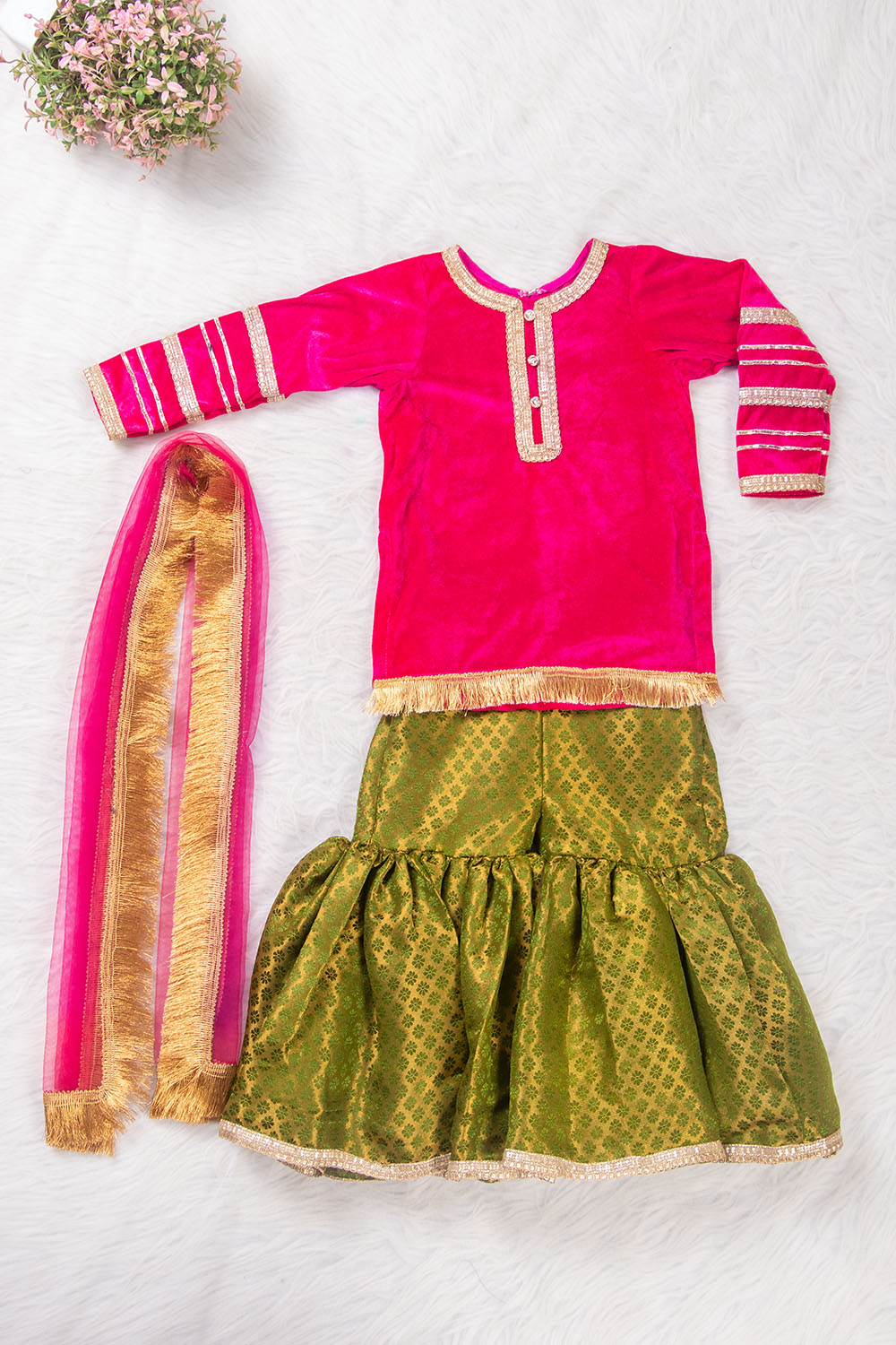 Magenta and Green Velvet and Brocade Sharara Suit