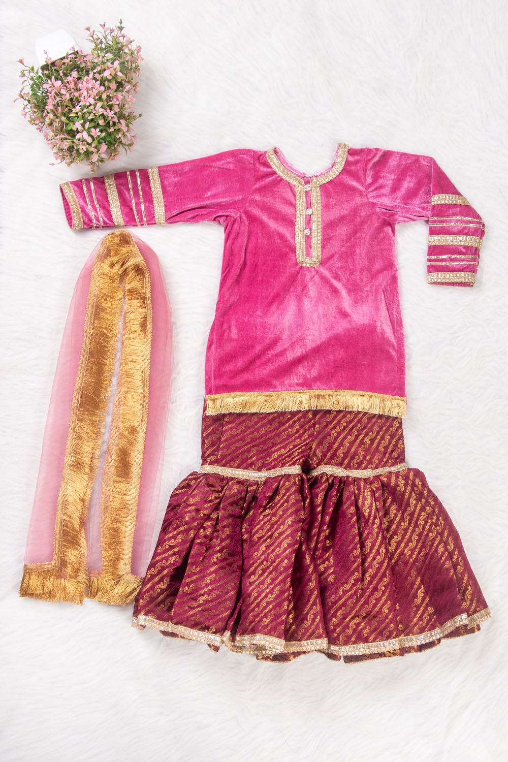 Pink and Wine Velvet and Brocade Sharara Suit