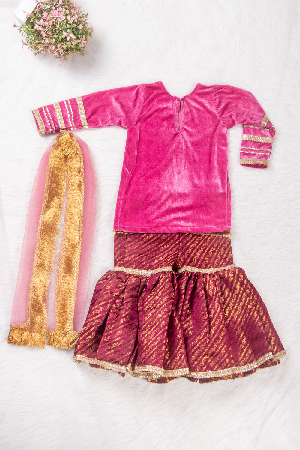 Pink and Wine Velvet and Brocade Sharara Suit