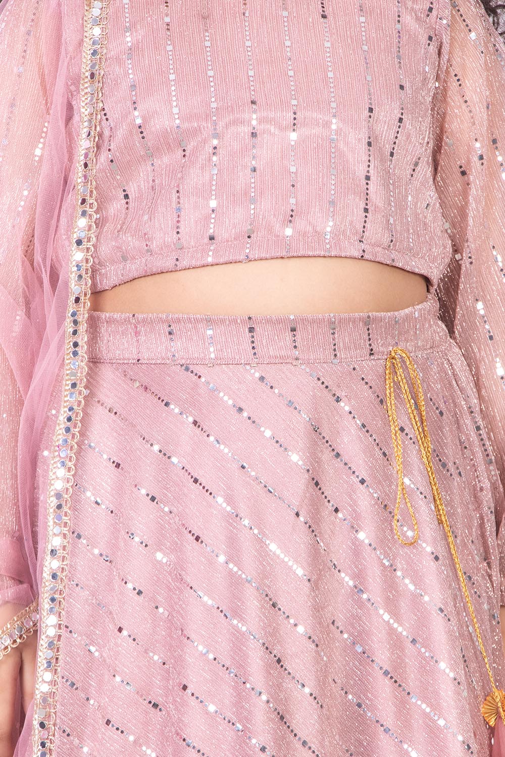 Pastel Pink Moonlight Lehenga Set