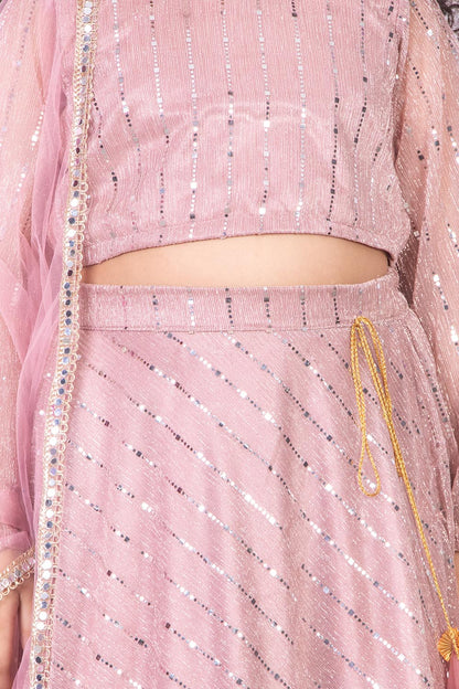 Pastel Pink Moonlight Lehenga Set