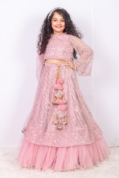 Pastel Pink Moonlight Lehenga Set