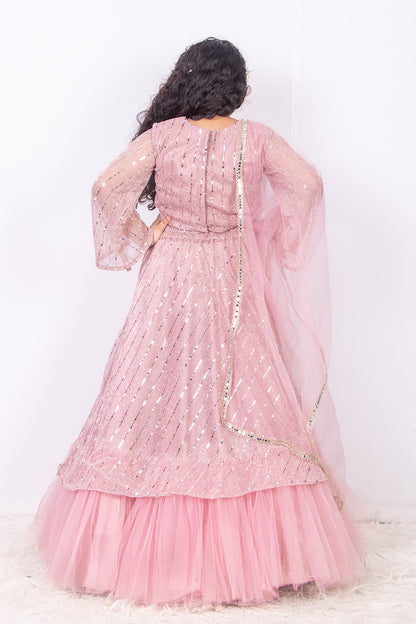 Pastel Pink Moonlight Lehenga Set