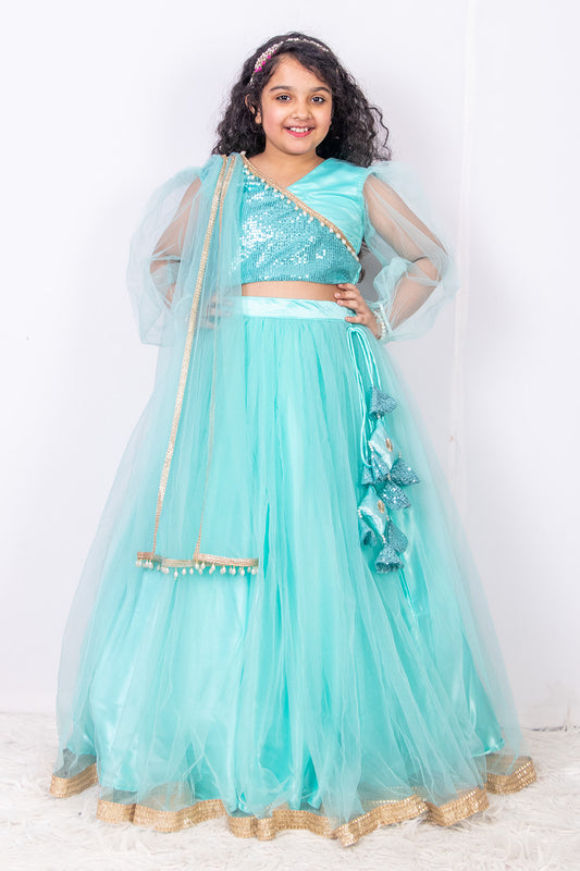 Sky Blue Sequins and Net Lehenga Set