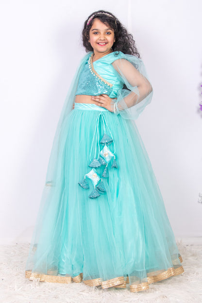 Sky Blue Sequins and Net Lehenga Set