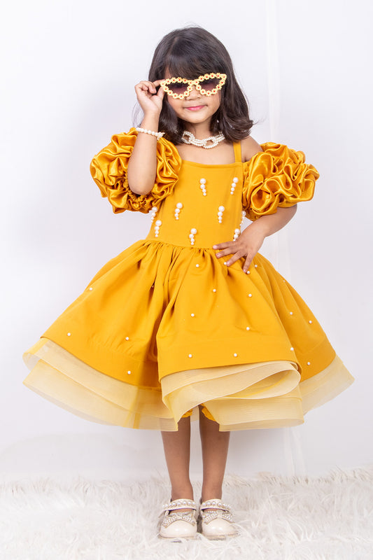 Mustard Banana Crepe and Net Dress
