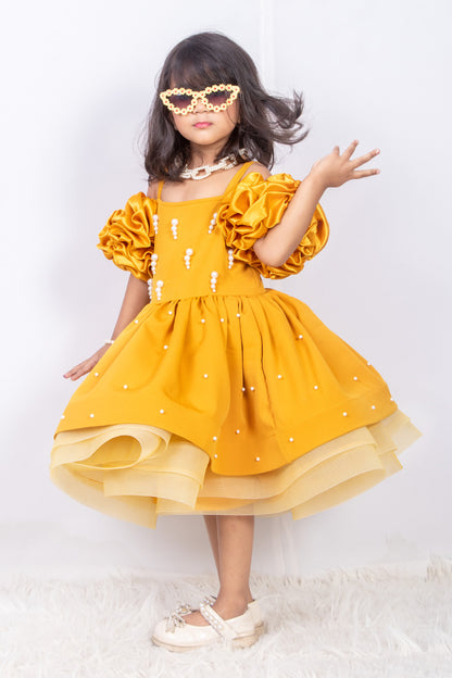 Mustard Banana Crepe and Net Dress