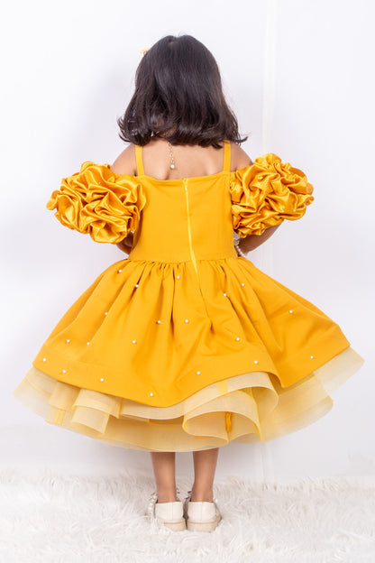 Mustard Banana Crepe and Net Dress